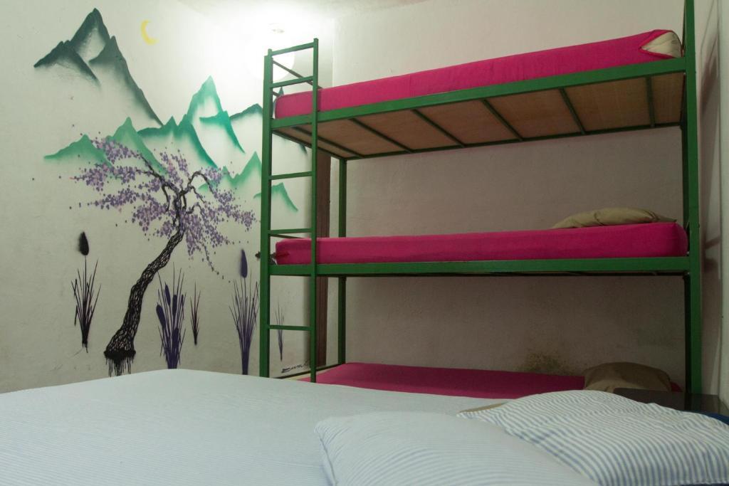 El Misti Hostel Ilha Grande Ilha Grande  Zewnętrze zdjęcie