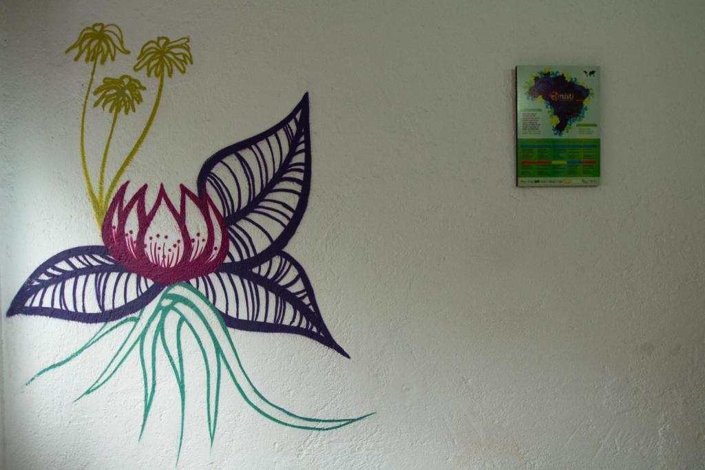 El Misti Hostel Ilha Grande Ilha Grande  Zewnętrze zdjęcie